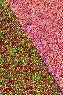 Arkaplan olarak kullanılmak üzere sıvanmış duvarın resmi