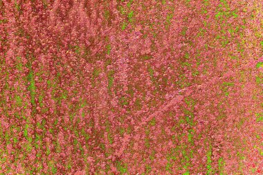 Soyut arkaplan. monokrom dokusu. resim siyah ve beyaz tonları içerir.