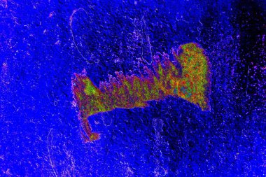 Metal boya dokusu ve arkaplan