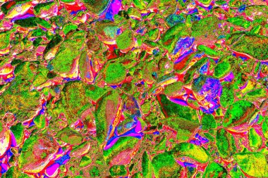 Doğada kayalık yol