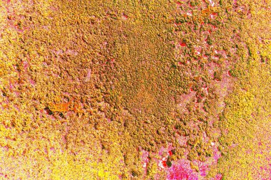 Metal boya dokusu ve arkaplan