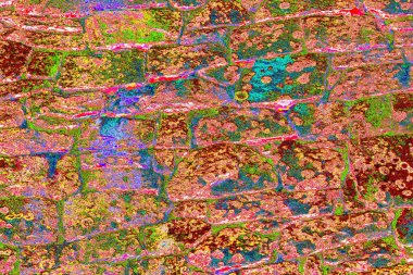 Duvar kağıdı için soyut renkli doku arkaplanı. Yaratıcı ve tasarım sanatı, eski duvar dokusu.