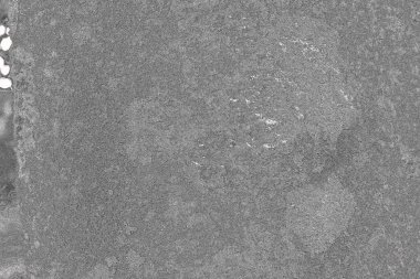 Soyut arkaplan renkli modern desen 