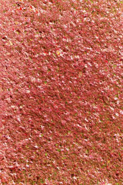 Duvar kağıdı için suluboya arka planının soyut renkli dokusu. Yaratıcı ve tasarım sanatı.