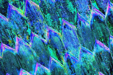 Duvar kağıdı için suluboya arka planının soyut renkli dokusu. Yaratıcı ve tasarım sanatı.