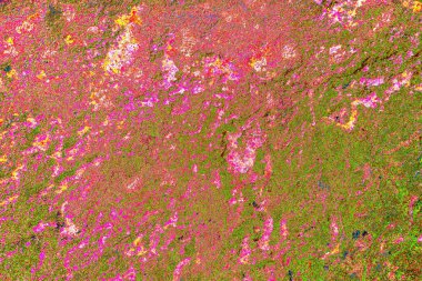 Çizik ve çatlaklarla metal doku