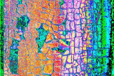 yaratıcı ve tasarım sanatı, kopyalama alanı duvar kağıdı, soyut renkli doku arkaplanı