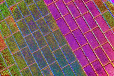 Duvar kağıdı için suluboya arka planının soyut renkli dokusu. Yaratıcı ve tasarım sanatı, eski duvar dokusu.