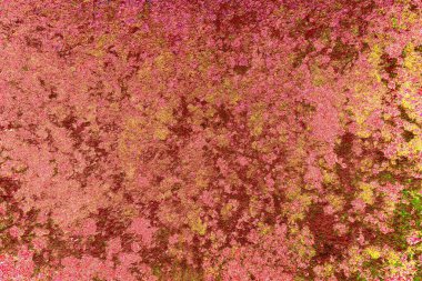 Çizik ve çatlaklarla metal doku