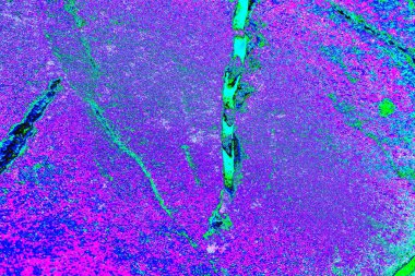 Soyut arkaplan tam çerçeve modern kalıp 