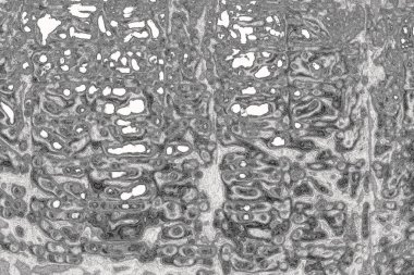 Soyut arkaplan renkli modern desen 