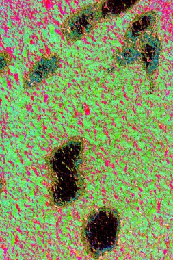 Arkaplan olarak kullanmak için duvarın resmi.