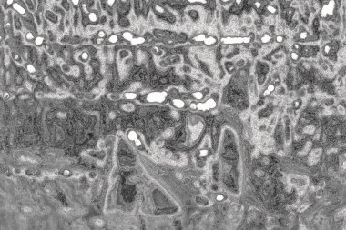 Soyut arkaplan renkli modern desen 