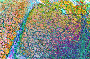 Soyut arkaplan tam çerçeve modern kalıp 