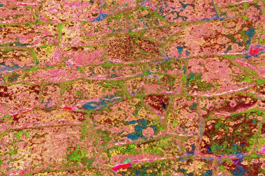 Duvar kağıdı için soyut renkli doku arkaplanı. Yaratıcı ve tasarım sanatı, eski duvar dokusu.