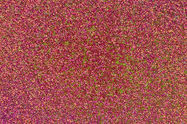 Arkaplan olarak kullanılmak üzere sıvanmış duvarın resmi