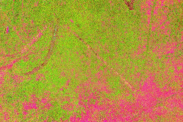 yaratıcı ve tasarım sanatı, kopyalama alanı duvar kağıdı, soyut renkli doku arkaplanı  