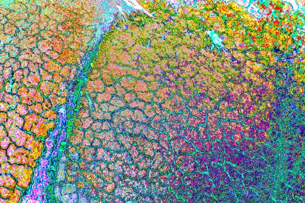 Soyut arkaplan tam çerçeve modern kalıp 