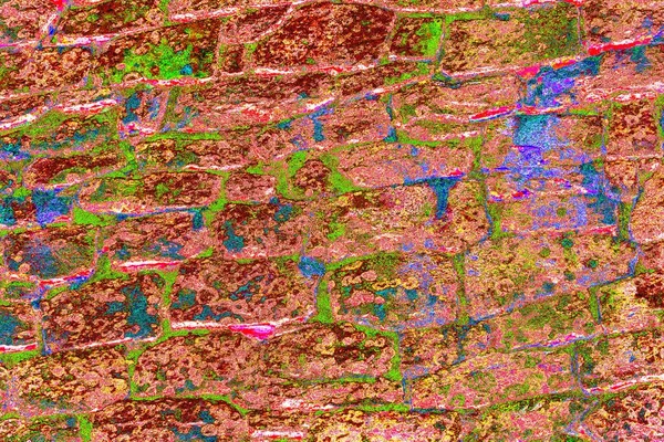 Duvar kağıdı için soyut renkli doku arkaplanı. Yaratıcı ve tasarım sanatı, eski duvar dokusu.