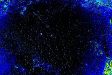 Duvar kağıdı için suluboya arka planının soyut renkli dokusu. Yaratıcı ve tasarım sanatı.