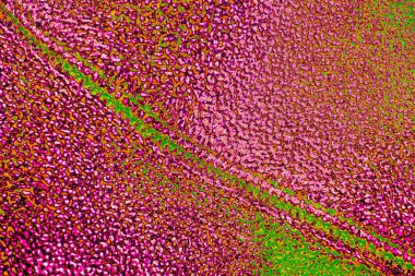 Soyut arkaplan tam çerçeve modern kalıp 