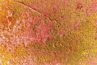 Metal boya dokusu ve arkaplan