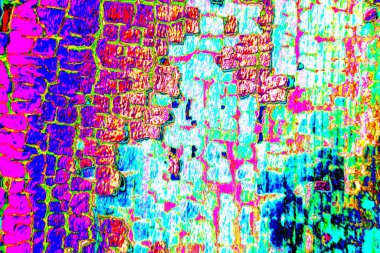 Duvar kağıdı için suluboya arka planının soyut renkli dokusu. Yaratıcı ve tasarım sanatı.