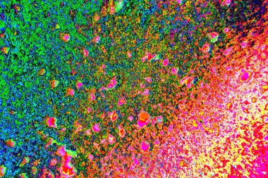 Soyut arkaplan renkli modern desen 