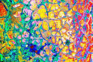 yaratıcı ve tasarım sanatı, kopyalama alanı duvar kağıdı, soyut renkli doku arkaplanı