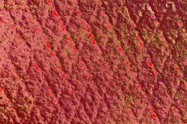 Çizik ve çatlaklarla metal doku