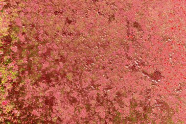 Çizik ve çatlaklarla metal doku