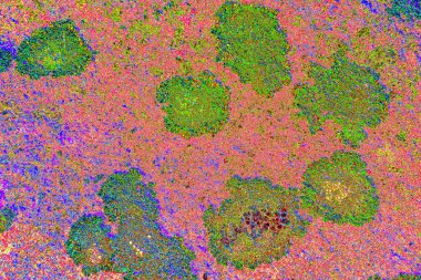 Duvar kağıdı için suluboya arka planının soyut renkli dokusu. Yaratıcı ve tasarım sanatı.