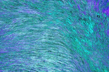 Yaban domuzu kürkü, vahşi hayvan, yaklaşın.