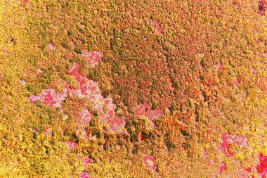 Metal boya dokusu ve arkaplan