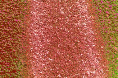 Duvar kağıdı için suluboya arka planının soyut renkli dokusu. Yaratıcı ve tasarım sanatı.