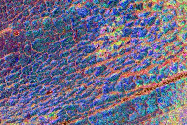 yaratıcı ve tasarım sanatı, kopyalama alanı duvar kağıdı, soyut renkli doku arkaplanı  