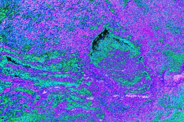 Soyut arkaplan tam çerçeve modern kalıp 