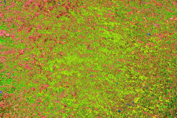 yaratıcı ve tasarım sanatı, kopyalama alanı duvar kağıdı, soyut renkli doku arkaplanı  