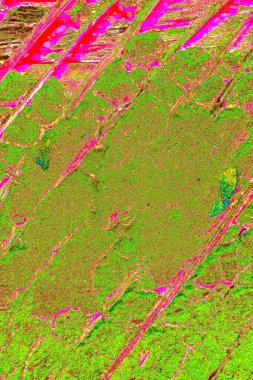 Duvar kağıdı için suluboya arka planının soyut renkli dokusu. Yaratıcı ve tasarım sanatı, eski duvar dokusu.