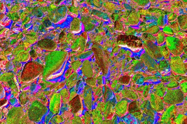 Doğada kayalık yol