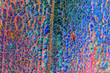 yaratıcı ve tasarım sanatı, kopyalama alanı duvar kağıdı, soyut renkli doku arkaplanı  