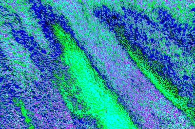 Duvar kağıdı için suluboya arka planının soyut renkli dokusu. Yaratıcı ve tasarım sanatı.