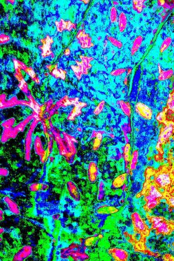 yaratıcı ve tasarım sanatı, kopyalama alanı duvar kağıdı, soyut renkli doku arkaplanı