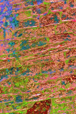 Duvar kağıdı için soyut renkli doku arkaplanı. Yaratıcı ve tasarım sanatı, eski duvar dokusu.