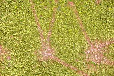 Yaratıcı ve tasarım sanatı, eski duvar dokusu. Duvar kağıdı için soyut renkli doku arkaplanı. 