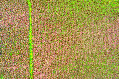 Soyut arkaplan tam çerçeve modern kalıp 