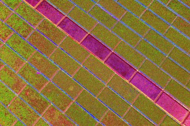 Duvar kağıdı için suluboya arka planının soyut renkli dokusu. Yaratıcı ve tasarım sanatı, eski duvar dokusu.