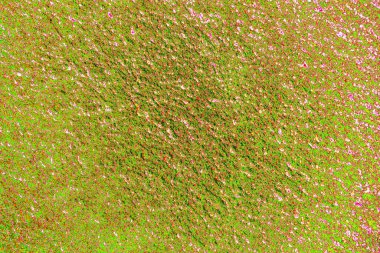 Arkaplan olarak kullanmak için duvarın resmi.