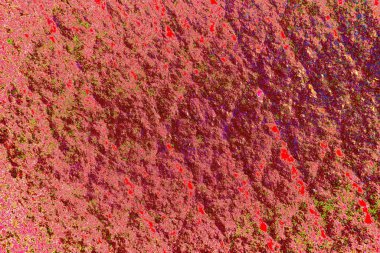 Çizik ve çatlaklarla metal doku