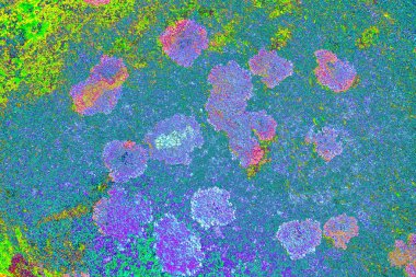 Duvar kağıdı için suluboya arka planının soyut renkli dokusu. Yaratıcı ve tasarım sanatı.